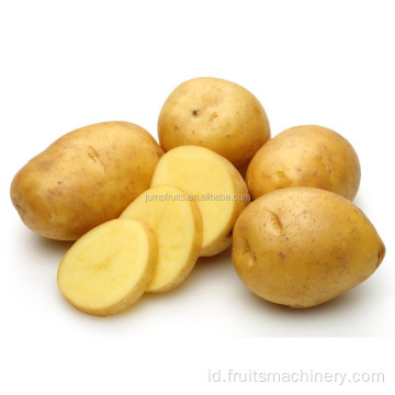 Jalur produksi keripik kentang senyawa